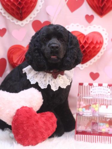 20240229天ちゃん